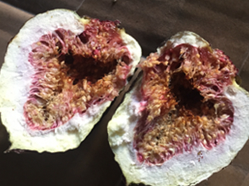 Fig dried by microwave vacuum at low temperature